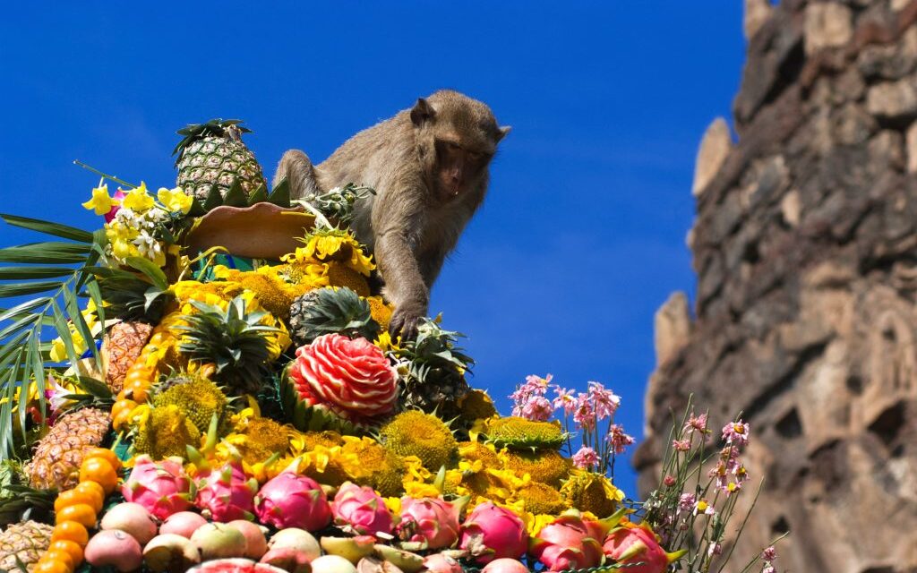 La top five dei festival più “pazzi” del mondo tra ravanelli, scimmie e arance