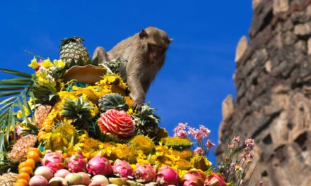 La top five dei festival più “pazzi” del mondo tra ravanelli, scimmie e arance