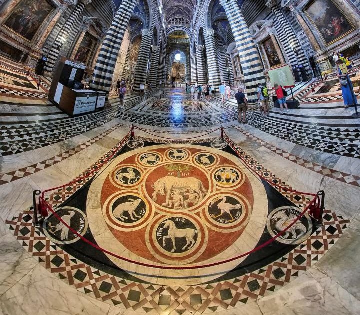 Il 4 novembre conferenza su la “Lupa senese” e i misteri del pavimento alchemico del Duomo di Siena