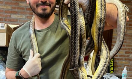Serpenti che prevedono i terremoti, Il dipartimento di Medicina Veterinaria di Bari  studia per prevedere i terremoti in Abruzzo