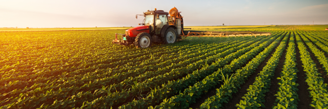 Agricoltura: 2021 anno del Biologico?