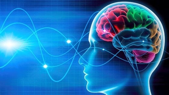 Cervello: scoperti meccanismi modulatori nelle trasmissioni sinaptiche