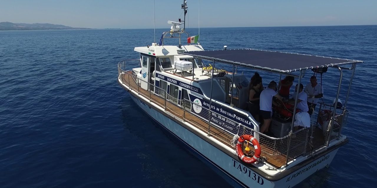 Si presenta il 6 ottobre “BioTourS” il progetto Interreg IPA CBC Italia-Albania-Montenegro alla ricerca dei delfini
