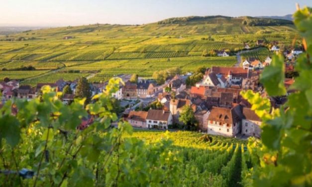In Alsazia si va per vigneti: quattro sentieri tutti da bere dai cugini francesi