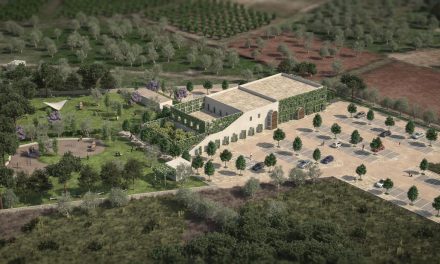 Fermo per colpa della burocrazia a Bari il progetto dell’ospedale veterinario privato con un parco