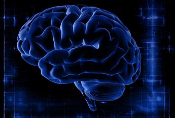 Neuralink, chip nel cervello follia o futuro? Il parere dell’esperto