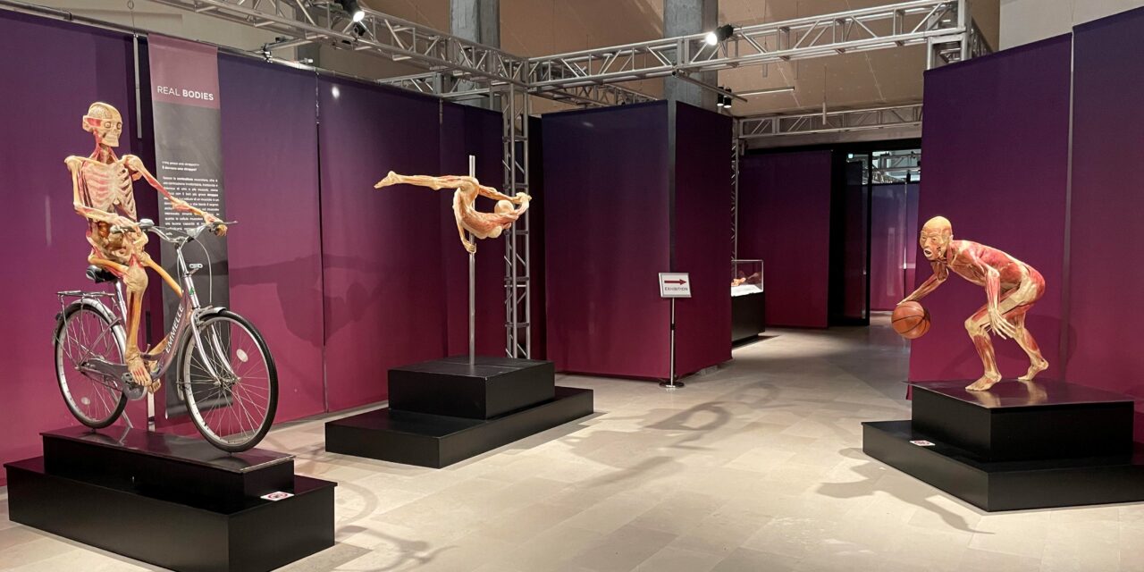 Presentata la mostra “REAL BODIES EXPERIENCE” apre le porte al pubblico al Teatro Margherita di Bari