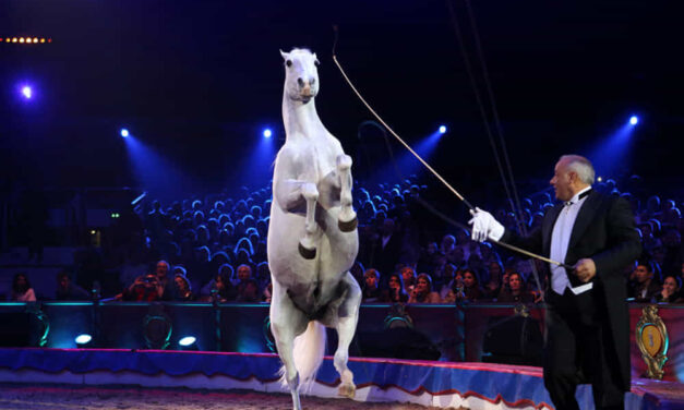 Il 5 gennaio al circo Nazionale di Lidia Togni a Bari benedizione degli animali e di tutti gli artisti