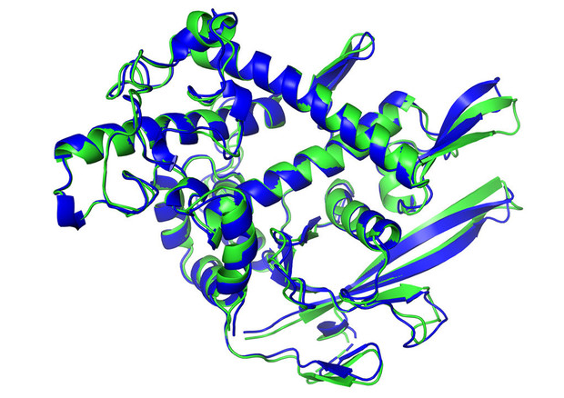 Identificata proteina responsabile dell’instabilità genomica nell’osteosarcoma