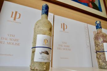 Svelati i primi 4 vini subacquei prodotti in Molise da ‘LeProfondità