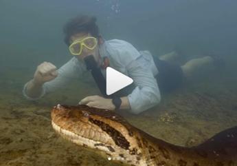 L’anaconda da record, ecco il serpente più grande del mondo – Video