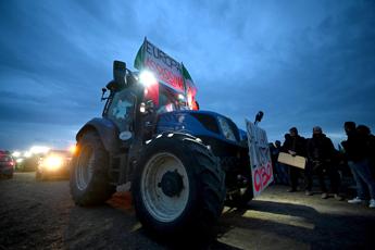 Protesta agricoltori, i trattori oggi tornano a Roma