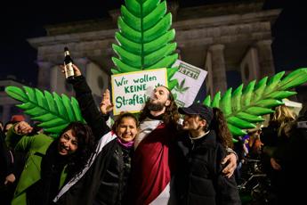 Germania legalizza ‘parzialmente’ la cannabis: cosa si potrà fare